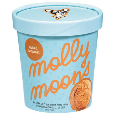 Molly Moon Ice Cream Salted Carmel - 18 OZ - Image 1