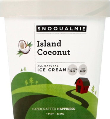 Snoqualmie Coconut Ice Cream - PT - Image 2