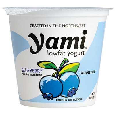 Yami Blueberry Yogurt - 6 OZ - Image 1