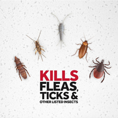 Raid Flea Killer Insecticide Aerosol Spray - 16 Oz - Image 3