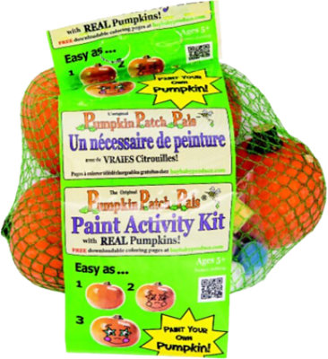 Pumpkin Paint Kit - Each - Image 1