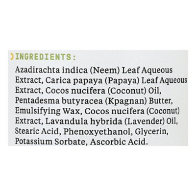 Alaffia Neem Tumeric Face Cream - 12 FZ - Image 4