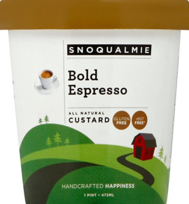 Snoqualmie Bold Espresso Ice Cream - PT - Image 2