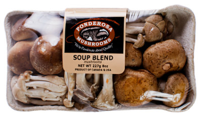 Soup Blend Mushrooms - Local - 8 Oz - Image 1