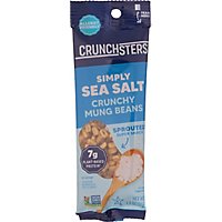 Crunchsters Protein Snack Sea Salt - 1.3 Oz - Image 2