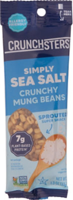 Crunchsters Protein Snack Sea Salt - 1.3 Oz - Image 2