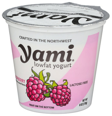 Yami Raspberry Yogurt - 6 OZ - Image 4