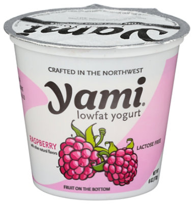 Yami Raspberry Yogurt - 6 OZ - Image 1