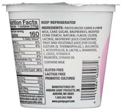 Yami Raspberry Yogurt - 6 OZ - Image 2