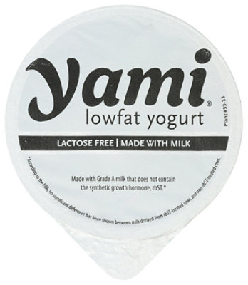 Yami Raspberry Yogurt - 6 OZ - Image 5