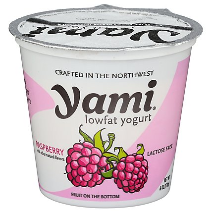 Yami Raspberry Yogurt - 6 OZ - Image 1