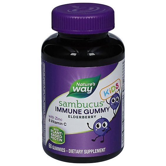 Natures Way Sambucus Dietary Supplement Gummies Standardized Elderberry - 60 Count
