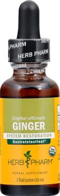 Ginger Extract - EA - Image 2