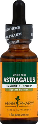 Astragalus Extract 1 Oz - EA - Image 2