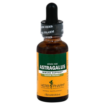 Astragalus Extract 1 Oz - EA - Image 1