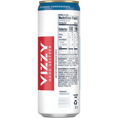 Vizzy Blueberry Pomegranate Hard Seltzer Beer 5% ABV Can - 24 Fl. Oz. - Image 3