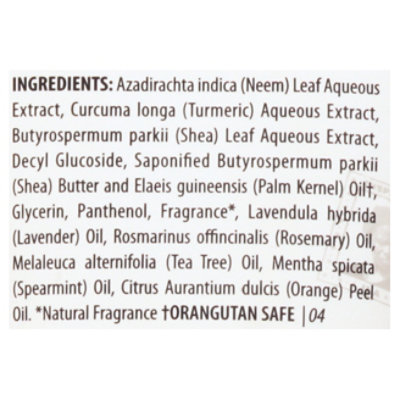 Alaffia Neem Tumeric Shampoo - 8 OZ - Image 4