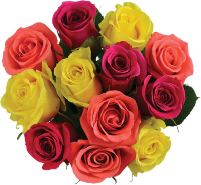 Dozen Rainbow Holiday Rose - Each - Image 1