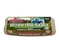Wilcox Cage Free Brown Eggs - 12 CT