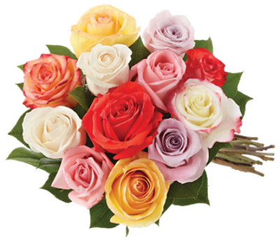 Rose Dozen Rainbow - 12 ST - Image 1