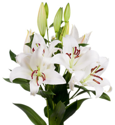 White Oriental Lily 3 Stem - Each - Image 1