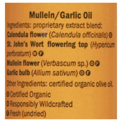 Herb Pharm Kids Mullein Garlic - 1 Oz - Image 4