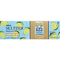 Polar Ginger Lime Mule Seltzer - 12-12 FZ - Image 6