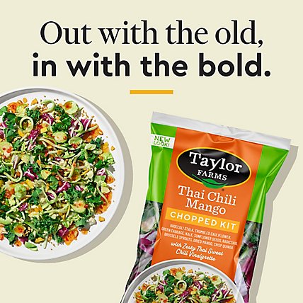 Taylor Farms Thai Chili Mango Chopped Salad Kit Bag - 11.25 Oz - Image 4