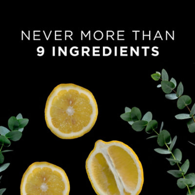 9 Elements Dishwashing Liquid Dish Soap Lemon Scent Cleaner - 16 Oz - Image 5