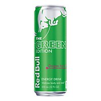 Red Bull Energy Drink Dragon Fruit - 12 Fl. Oz. - Image 1