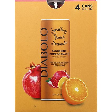 Diabolo Soda Tangerine Pomegranate - 48 FZ - Image 6