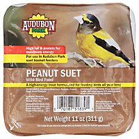 Audubon Park Peanut Suet - 11 OZ - Image 1