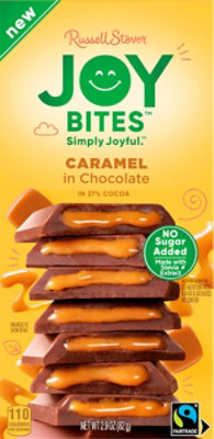 Russell Stover Joy Bites Caramel Milk Chocolate Bar - 2.9 Oz - Image 2