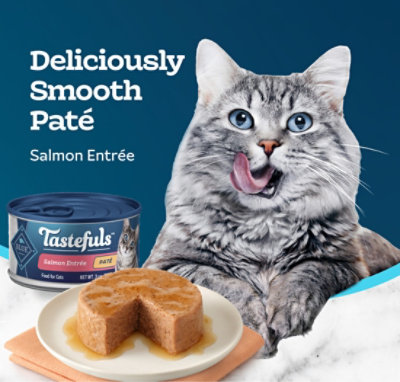 Blue wilderness salmon wet cat food best sale