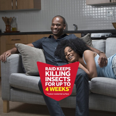 Raid Fragrance Free Ant And Roach Killer Insecticide Aerosol Spray - 2-17.5 Oz - Image 5