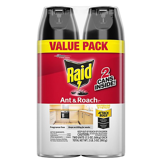 Raid Ant And Roach - 2 CT