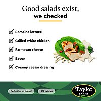 Taylor Farms Caesar and Bacon Salad Bowl - 5.75 Oz - Image 5