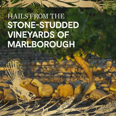 Stoneleigh Marlborough Sauvignon Blanc Wine - 750 Ml - Image 5