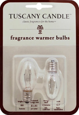 Lan Plug In Replacement Bulb - EA - Image 2