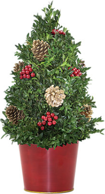Boxwood Tree Dec - Each - Image 1