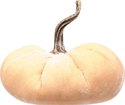 Overjoyed Boutique Velvet Pumpkin Md - EA - Image 4