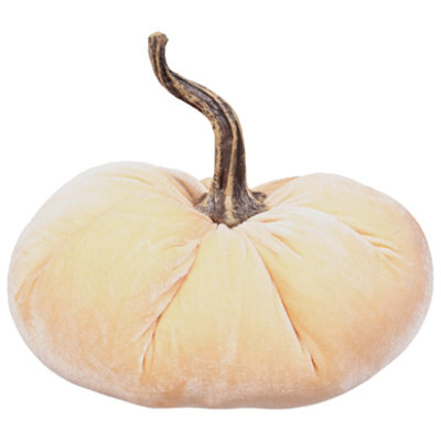 Overjoyed Boutique Velvet Pumpkin Md - EA - Image 1