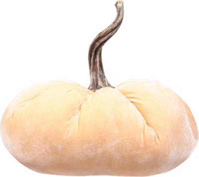 Debi Lilly Velvet Pumpkin Lg - EA - Image 4