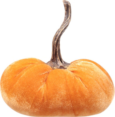 Debi Lilly Velvet Pumpkin Sm - EA - Image 4