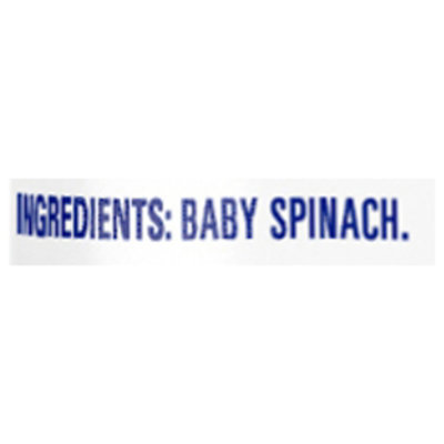 Dole Baby Spinach 5.5 Oz - 5.5 OZ - Image 4