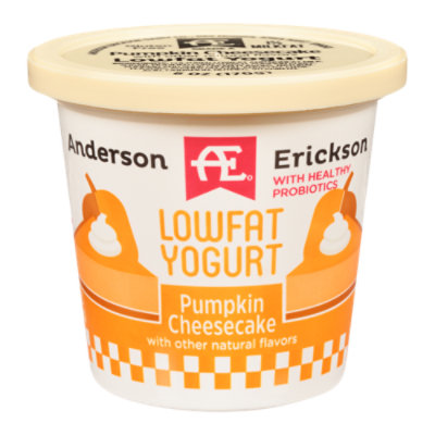 Anderson Erickson Dairy Yogurt Lowfat Pumpkin Cheesecake - 6 Oz - Image 1