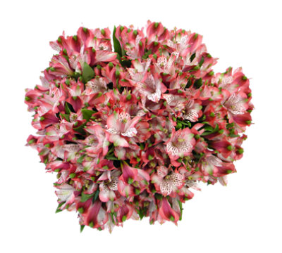 Market Bunch Alstroemeria 20 Stem - Each - Image 1