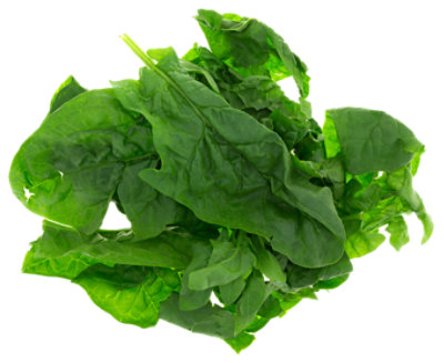 Simple Beginnings Savoy Spinach - 10 OZ - Image 1