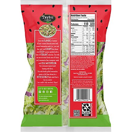 Taylor Farms Watermelon Crunch Chopped Salad Kit Bag - 10.4 Oz - Image 8