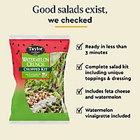 Taylor Farms Watermelon Crunch Chopped Salad Kit Bag - 10.4 Oz - Image 3